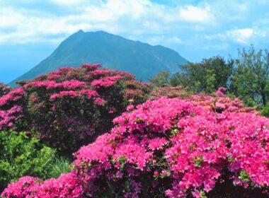 別府の名山「鶴見岳」で四季折々の景色を堪能